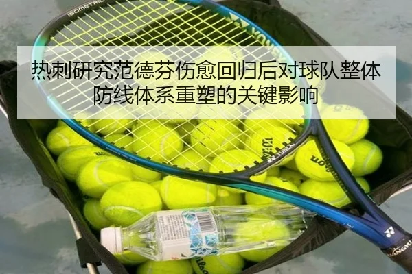 热刺研究范德芬伤愈回归后对球队整体防线体系重塑的关键影响
