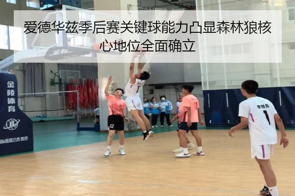 爱德华兹季后赛关键球能力凸显森林狼核心地位全面确立