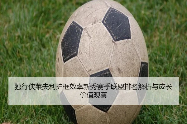 独行侠莱夫利护框效率新秀赛季联盟排名解析与成长价值观察